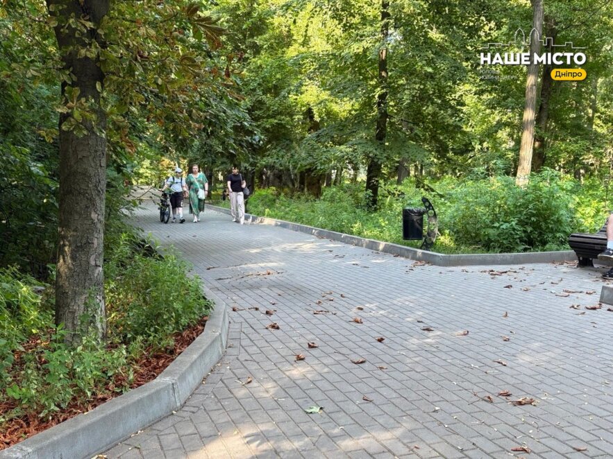 У Дніпрі в центрі парку помітили «дику» суницю