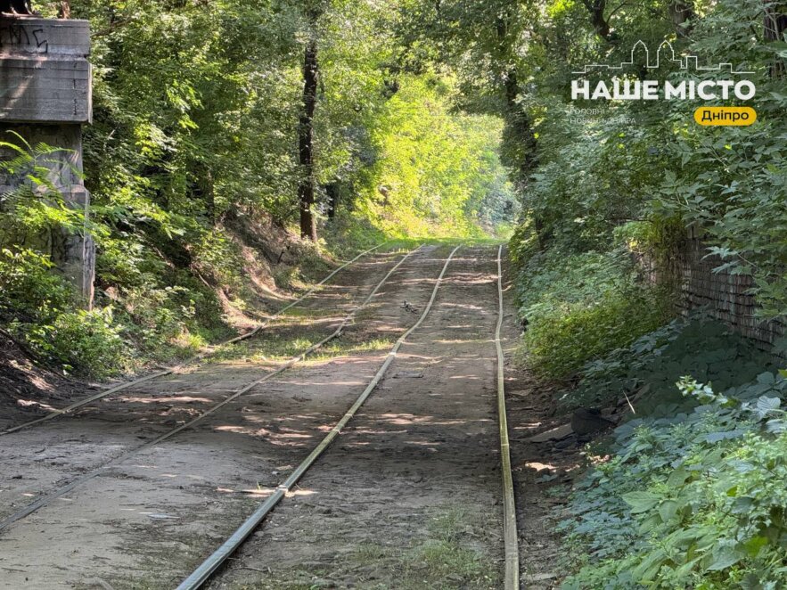 ЕКСКЛЮЗИВ
                                Тунель кохання у Дніпрі: зелена локація для романтичних прогулянок