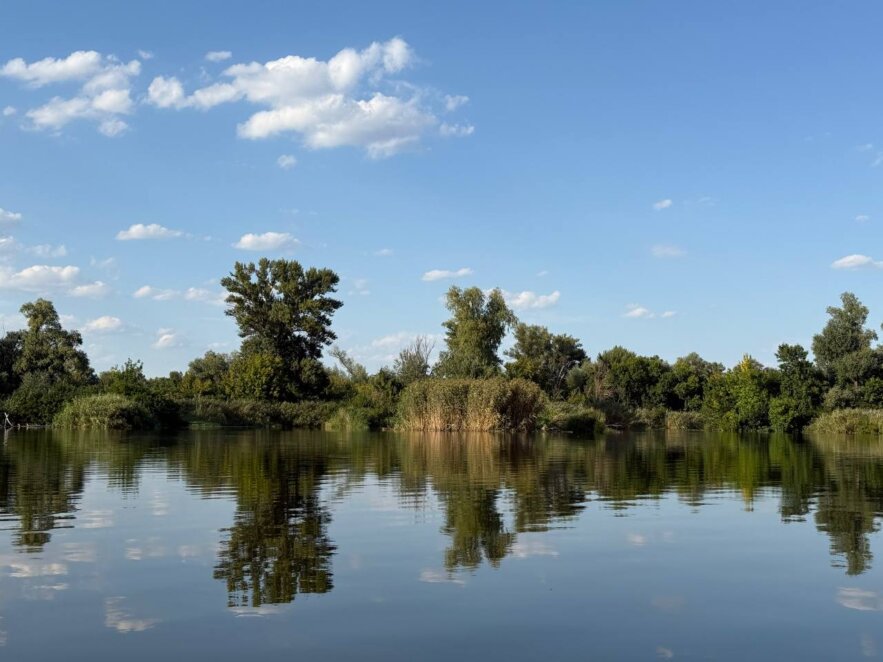 ЕКСКЛЮЗИВ
                                Водяні рослини, острови та кримські сосни: досліджуємо Дніпро на каяках