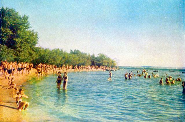 ЕКСКЛЮЗИВ
                                Водяні рослини, острови та кримські сосни: досліджуємо Дніпро на каяках