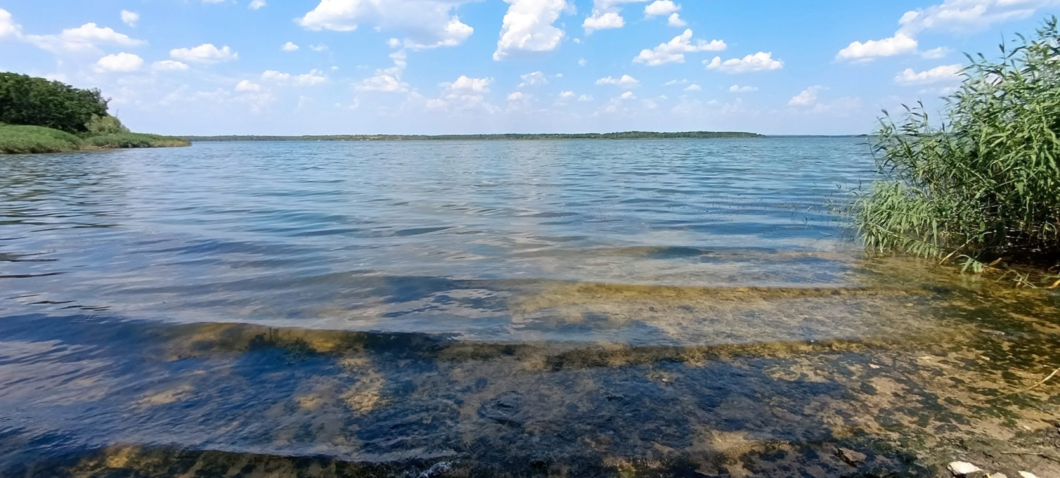 У 7 водоймах Дніпропетровщини знайшли холероподібний вібріон