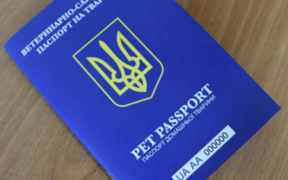 В Украине ввели ветеринарные паспорта нового образца: что нужно знать владельцам домашних животных