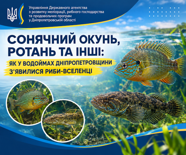 Риби-вселенці захоплюють водойми Дніпропетровщини: звідки вони з'явилися