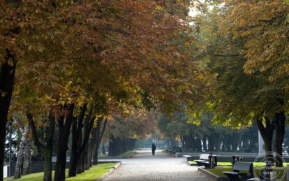 Кінець вересня в Україні буде теплим: прогноз погоди до 30 вересня