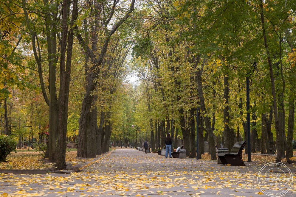 Штормовий вітер та сонячна погода: прогноз на 1 жовтня в Україні та Дніпрі