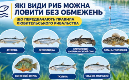 Які види риб на Дніпропетровщині можна ловити без обмежень за кількістю