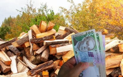 Дрова за кошт держави: хто може отримати до 9,2 тис. грн субсидії та як її оформити