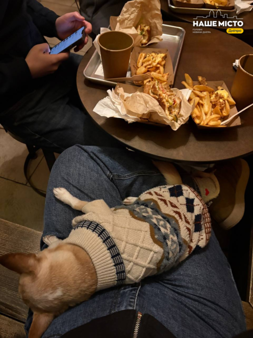 ЕКСКЛЮЗИВ
                                Дніпро pet-friendly: чи готове місто жити разом із домашніми тваринами