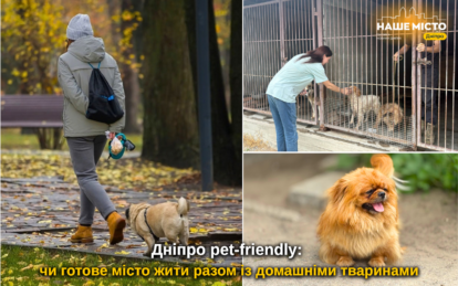 Дніпро pet-friendly: чи готове місто жити разом із домашніми тваринами