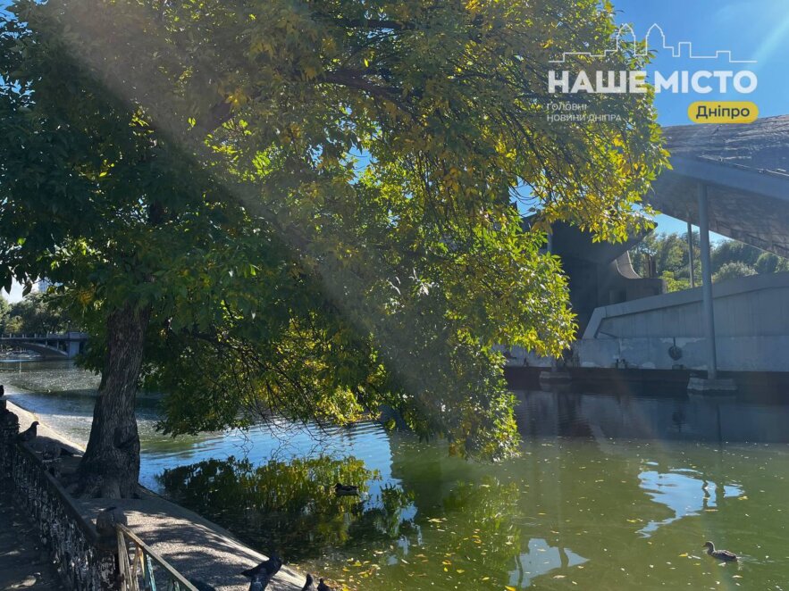 ЕКСКЛЮЗИВ
                                Парк Глоби у Дніпрі на початку жовтня: золоте листя, троянди й тепле сонце