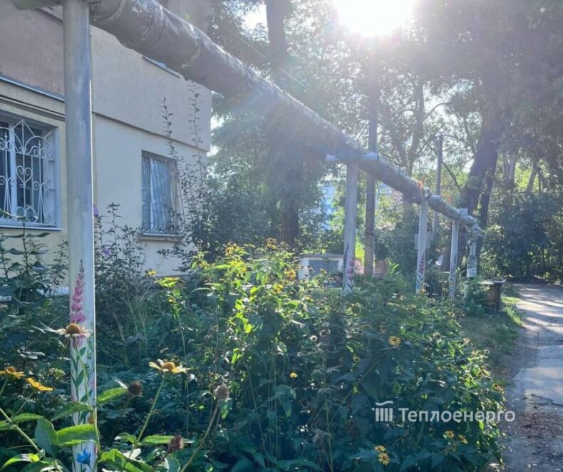 У Дніпрі художниця розфарбувала опори теплових мереж у дворі будинку