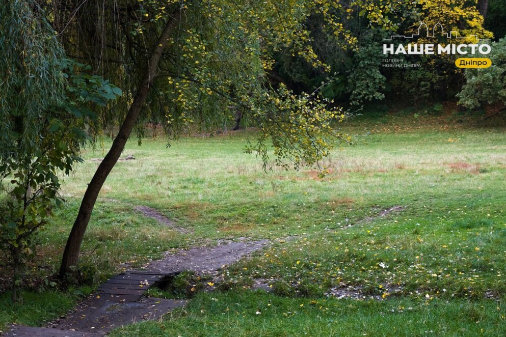 Багряна осінь у Тунельній балці: який вигляд має мальовничий куток у Дніпрі в жовтні