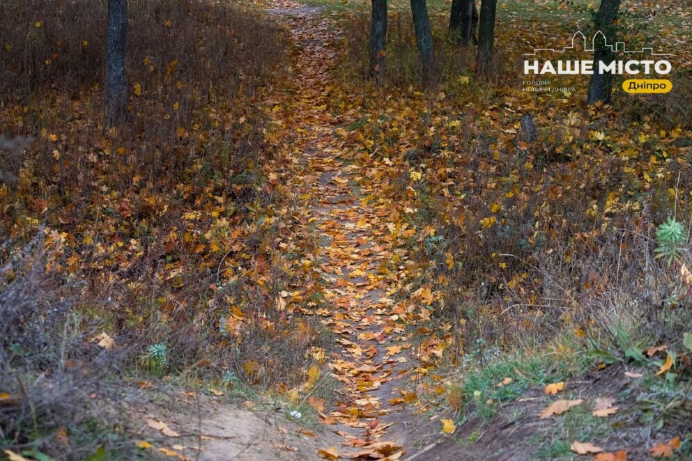 Багряна осінь у Тунельній балці: який вигляд має мальовничий куток у Дніпрі в жовтні